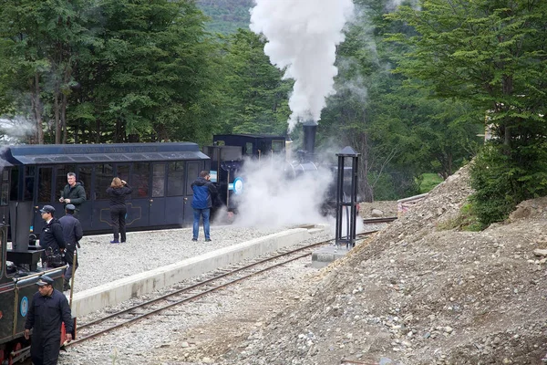 Southern Fuegian Railway Train End World Tierra Del Fuego Argentina — стоковое фото