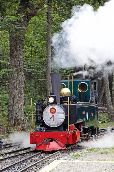 Southern Fuegian Railway Train End World Tierra Del Fuego Argentina — стоковое фото