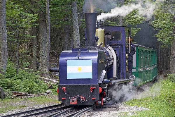 Ferrocarril Tren Del Fin Del Mundo Del Sur Fuegian Tierra — Foto de Stock