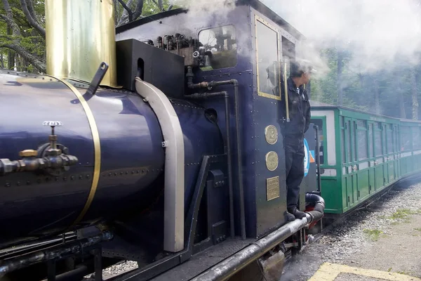 Southern Fuegian Railway Train End World Tierra Del Fuego Argentina — Fotografia de Stock