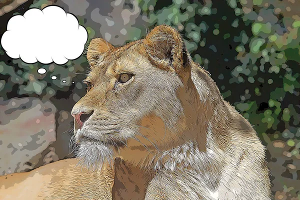 Cartoon Lioness Panthera Leo Portrait Thought Bubble — Stock Photo, Image