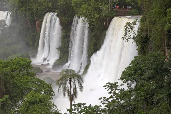 Po stronie argentyńskiej wodospady Iguazu — Zdjęcie stockowe