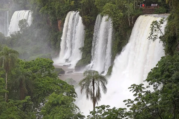 Po stronie argentyńskiej wodospady Iguazu — Zdjęcie stockowe