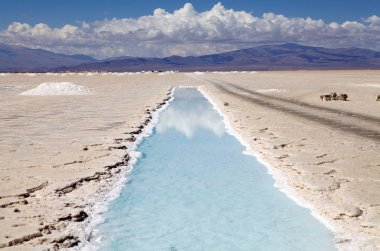Arjantin'in kuzey batısında Salta ve Jujuy eyaletlerinde Salinas Grandes