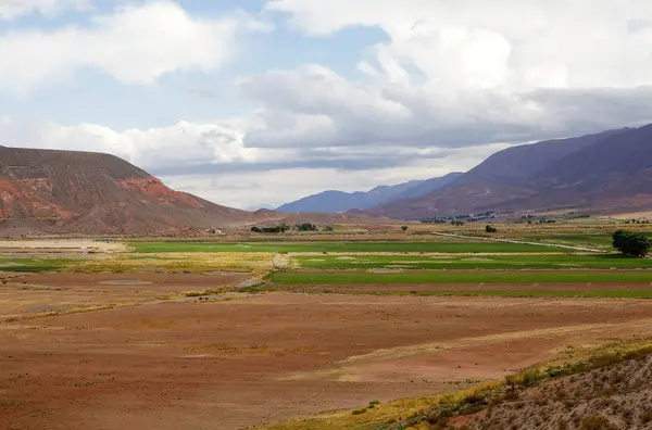 Landscape along the Calchaqui Valley, Argentina — Stock Photo, Image