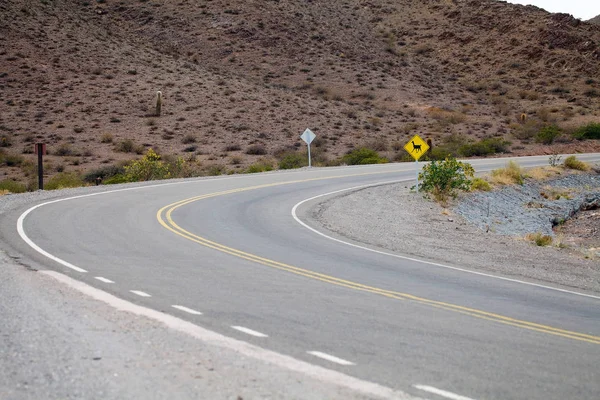 Segnaletica di attraversamento lama lungo la Strada Nazionale 40 conosciuta anche come Ruta 40, Argentina — Foto Stock