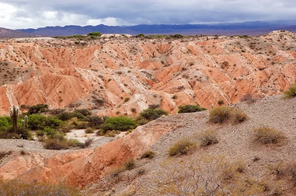 Los Colorados – kolorowa Dolina w prowincji Jujuy w Argentynie — Zdjęcie stockowe