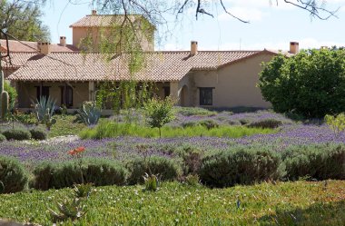 Arjantin Şarap Yolu boyunca Cafayate Şaraphane, Arjantin
