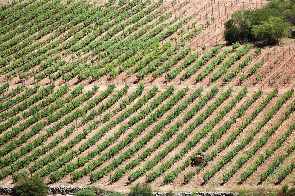 Bodega, Finca Tacuil, en el Valle de Calchaqui a lo largo de la Ruta del Vino Argentina, Argentina — Foto de Stock