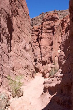 Quebrada de las Conchas Calchaqui Vadisi, Arjantin