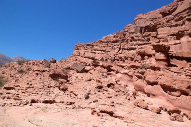 Quebrada de las Conchas Calchaqui Vadisi, Arjantin
