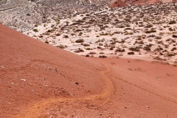 Quebrada de las Conchas w dolinie Calchaqui, Argentyna — Zdjęcie stockowe