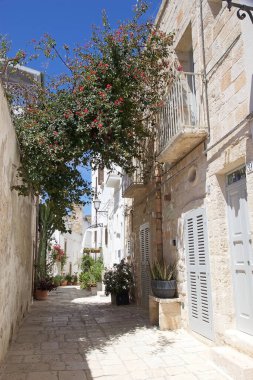 Polignano 'nun tarihi merkezinde Apulia, İtalya' da bir kısrak. İtalya 'nın güneyinde, Adriyatik Denizi kıyısında bir kasabadır. Yerel ekonomi turizm, tarım ve balıkçılığa bağlıdır. Oranın antik Yunan kenti Neapolis olduğuna inanılıyor.