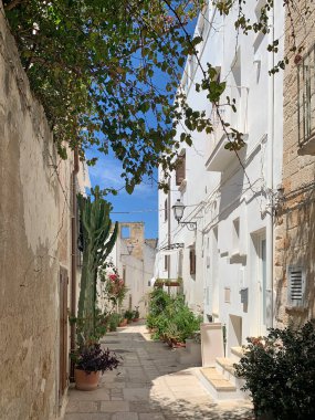 Polignano 'nun tarihi merkezinde Apulia, İtalya' da bir kısrak. İtalya 'nın güneyinde, Adriyatik Denizi kıyısında bir kasabadır. Yerel ekonomi turizm, tarım ve balıkçılığa bağlıdır. Oranın antik Yunan kenti Neapolis olduğuna inanılıyor.
