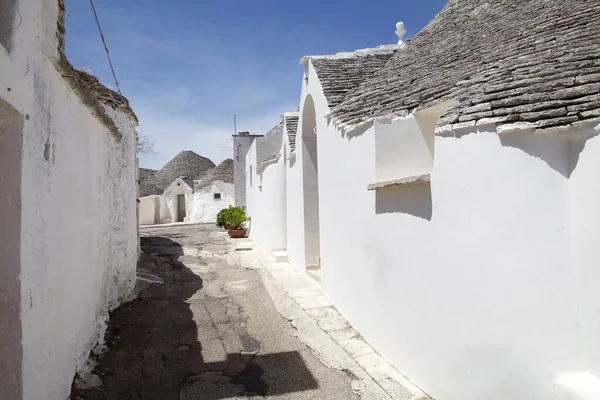 イタリア プーリア州のAlberobelloのRione Asia Piccolaの通りに沿ってトロロ アルベロベッロ Alberobello イタリア南部の小さな町 トロロは円錐形の屋根を持つ伝統的なプーリア乾燥した石造りの小屋です — ストック写真