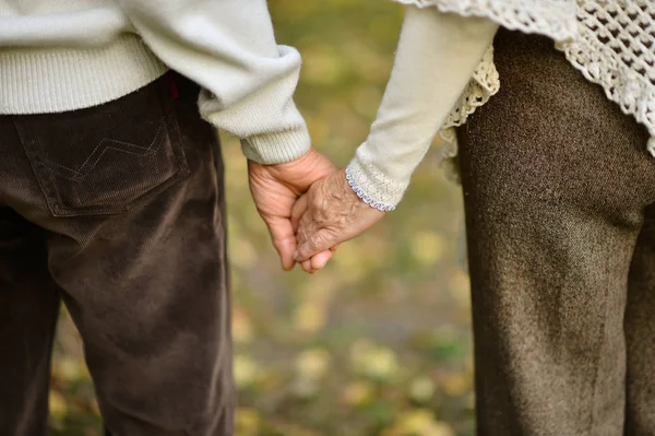 老夫妇牵手一起在秋季公园 — 图库照片