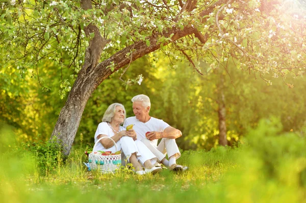 Casal Sênior Feliz Fazendo Piquenique Parque — Fotografia de Stock