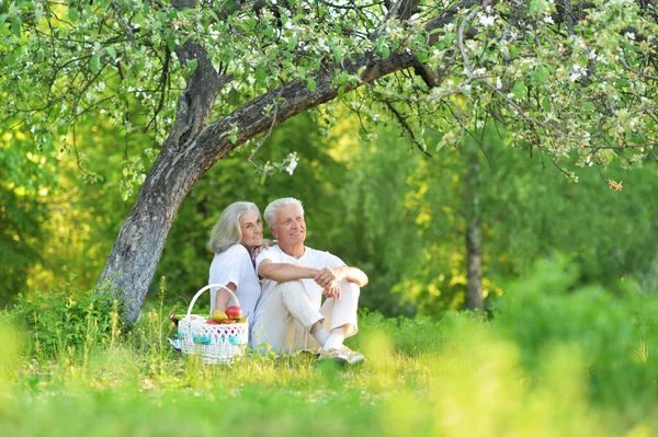 Felice Coppia Anziana Avendo Pic Nic Nel Parco — Foto Stock