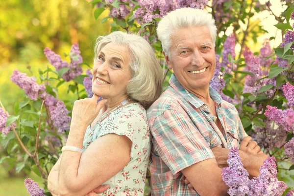 Vacker Äldre Par Poserar Nära Blommande Lilac Tree — Stockfoto