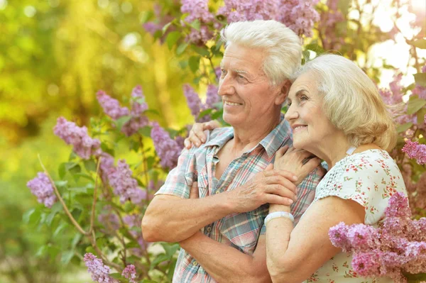 Vacker Äldre Par Poserar Nära Blommande Lilac Tree — Stockfoto