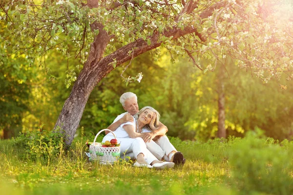 Gelukkige Senior Paar Hebben Picnic Het Park — Stockfoto
