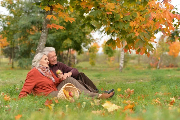 Szczęśliwa Para Starszy Siedzi Parku Jesień — Zdjęcie stockowe