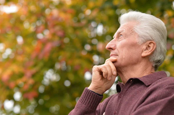 Portrait Thoughtful Senior Man Park — Stock Photo, Image