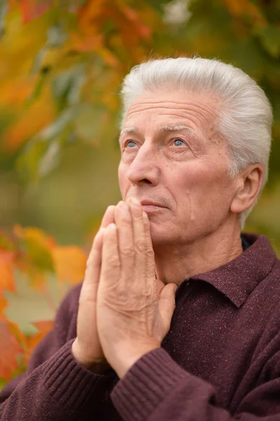公園で祈り思いやりのある年配の男性の肖像画 — ストック写真