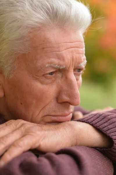 Porträtt Tankeväckande Senior Mannen Park — Stockfoto