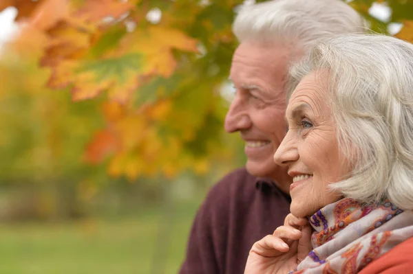 Happy Senior Couple Hugging Autumn Park — Stock Photo, Image