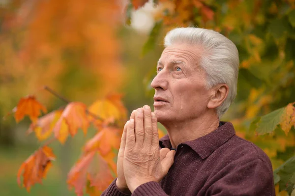 Portret Rozważny Człowiek Starszy Modląc Się Parku — Zdjęcie stockowe