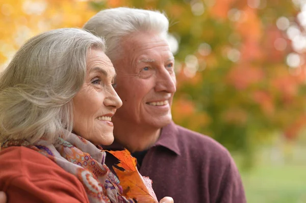 在秋天的公园中拥抱快乐年长夫妇 — 图库照片