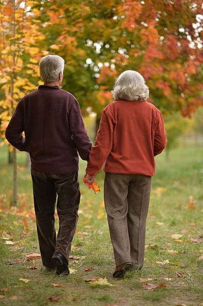 Achteraanzicht Van Senior Paar Wandelen Herfst Park — Stockfoto