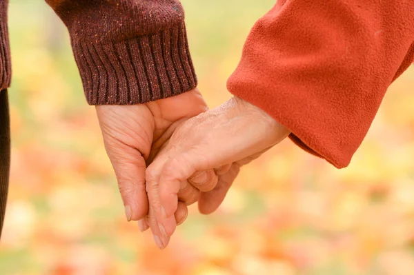 Dos Personas Cogidas Mano Naturaleza —  Fotos de Stock