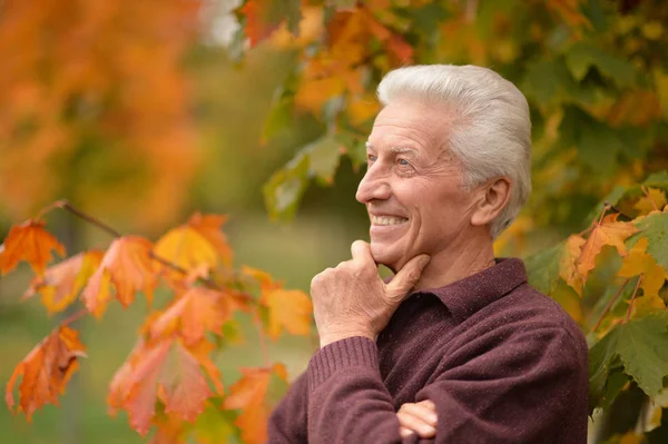 Detailní Záběr Portrét Starší Muž Pózuje Rozostřeného Pozadí Podzimní Park — Stock fotografie