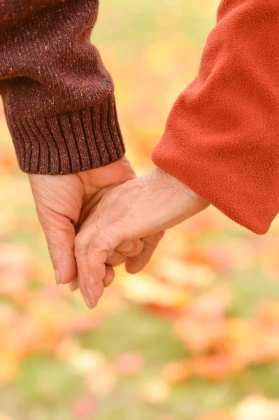 Två Personer Håller Händerna Naturen — Stockfoto