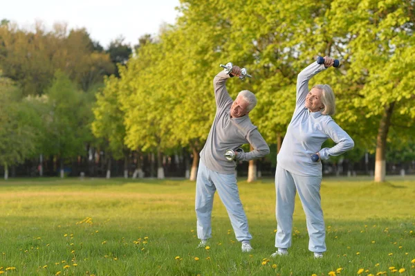 Fit senior couple exercising — Stock Photo, Image