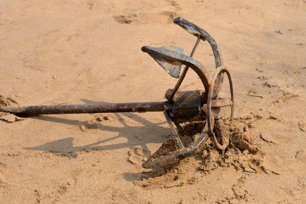 Old anchor on beach Royalty Free Stock Photos