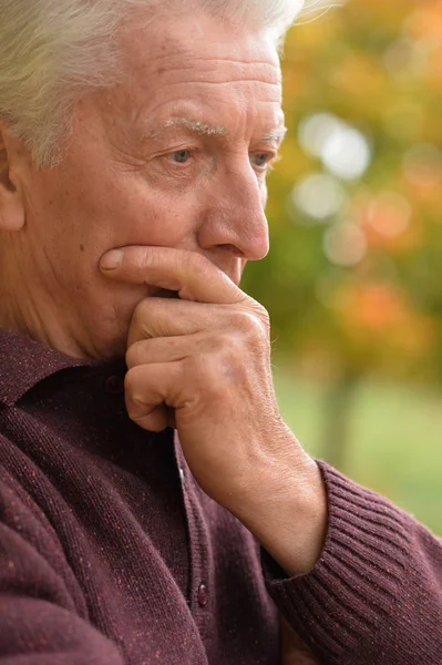 Portrait Thoughtful Senior Man Park Stock Photo