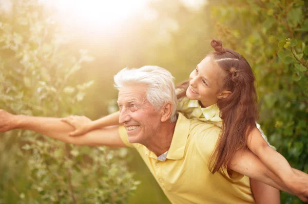 Grand Père Petite Fille Amusent Sur Prairie Verte — Photo