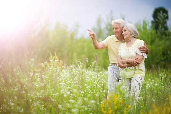 Mature couple   in summer park — Stock Photo, Image