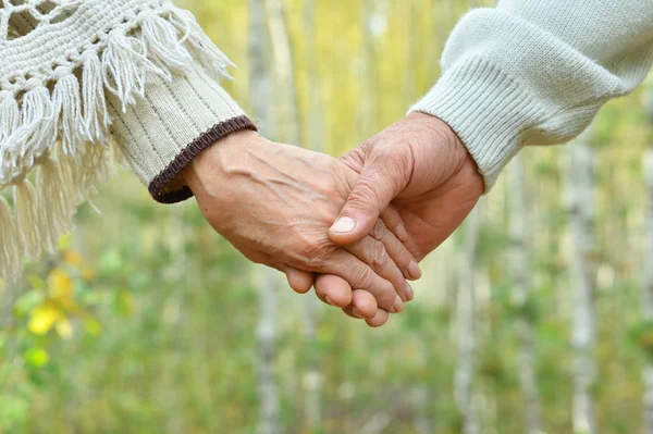 Dva Lidé Drželi Ruce Přírodu — Stock fotografie