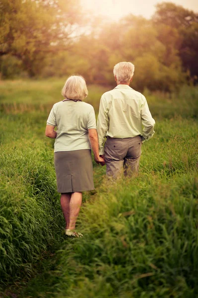 爱的老年夫妇在绿草甸漫步在夏天 — 图库照片
