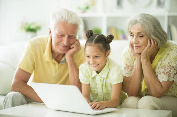 Mor Och Farföräldrar Med Dotterdottern Använder Laptop Hemma — Stockfoto