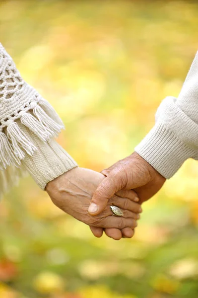 Dos Personas Cogidas Mano Naturaleza —  Fotos de Stock