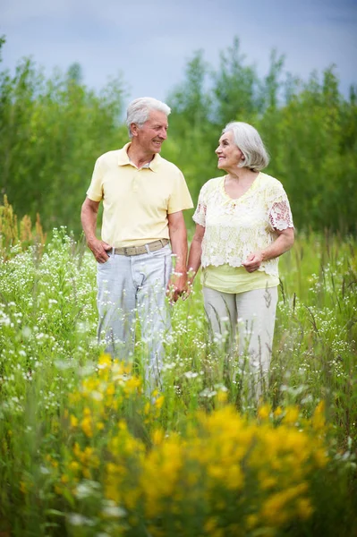 Mature couple   in summer park — Stock Photo, Image