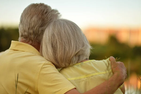 Rear View Senior Couple Hugging Summer Park — Stock Photo, Image