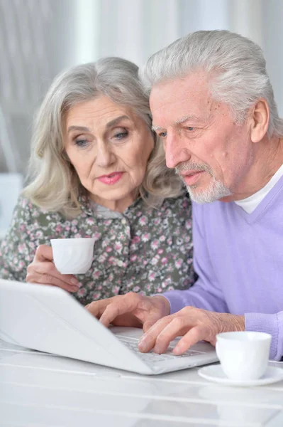 Szczęśliwa Para Starszy Pomocą Laptopa Domu — Zdjęcie stockowe