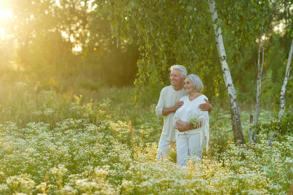 Liefdevolle Ouder Paar Zomer Park — Stockfoto