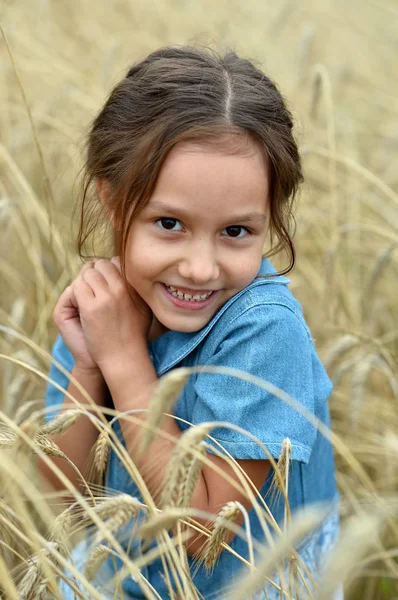 Buğday Tarlasında Tatlı Küçük Kız — Stok fotoğraf